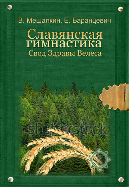 Славянская гимнастика. Свод Здравы Велеса — Владислав Мешалкин