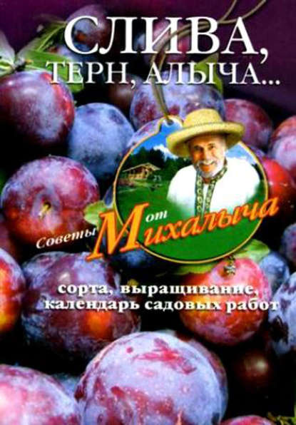 Слива, терн, алыча... Сорта, выращивание, календарь садовых работ — Николай Звонарев