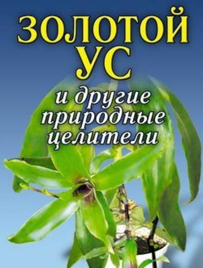 Золотой ус и другие природные целители — Группа авторов