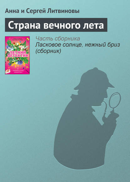 Страна вечного лета — Анна и Сергей Литвиновы