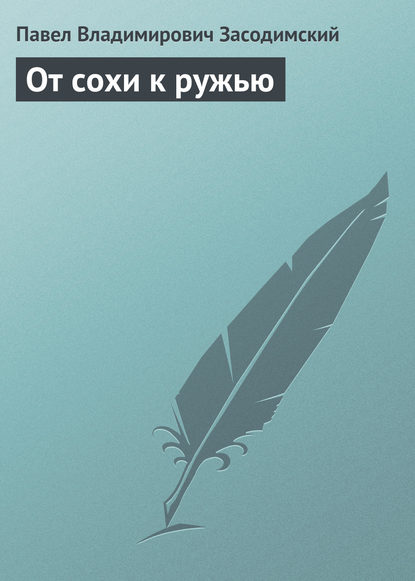 От сохи к ружью - Павел Владимирович Засодимский