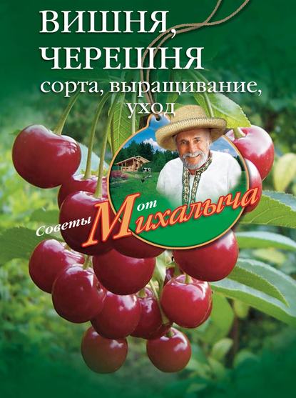 Вишня, черешня. Сорта, выращивание, уход, заготовки — Николай Звонарев