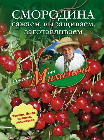 Смородина. Сажаем, выращиваем, заготавливаем - Николай Звонарев