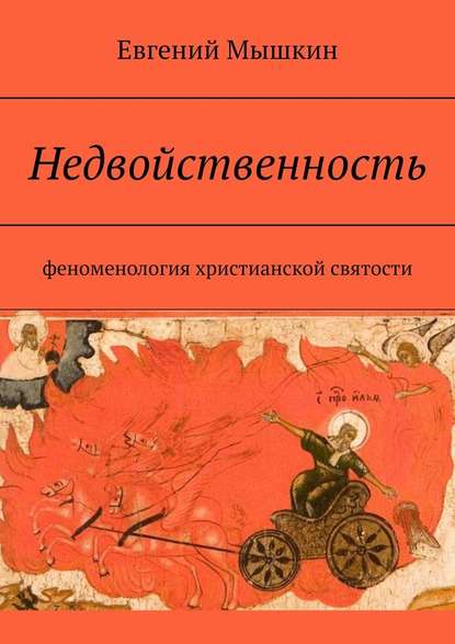 Недвойственность. Феноменология христианской святости - Евгений Мышкин