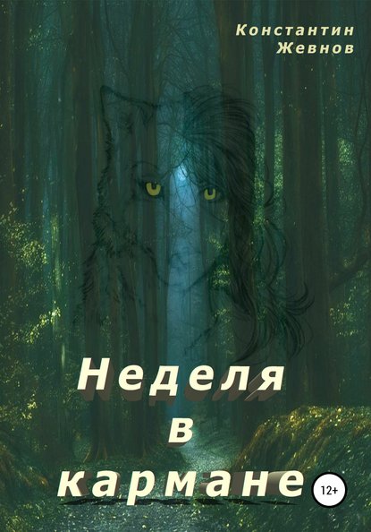 Неделя в кармане - Константин Александрович Жевнов