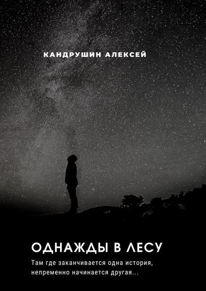 Однажды в лесу. Там где начинается одна история, непременно начинается другая… - Алексей Андреевич Кандрушин