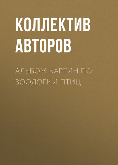 Альбом картин по зоологии птиц - Коллектив авторов