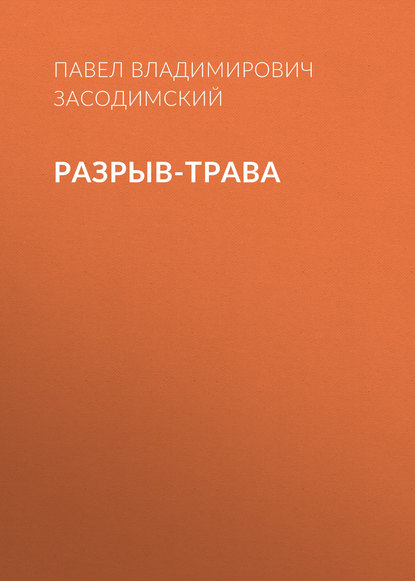 Разрыв-трава - Павел Владимирович Засодимский