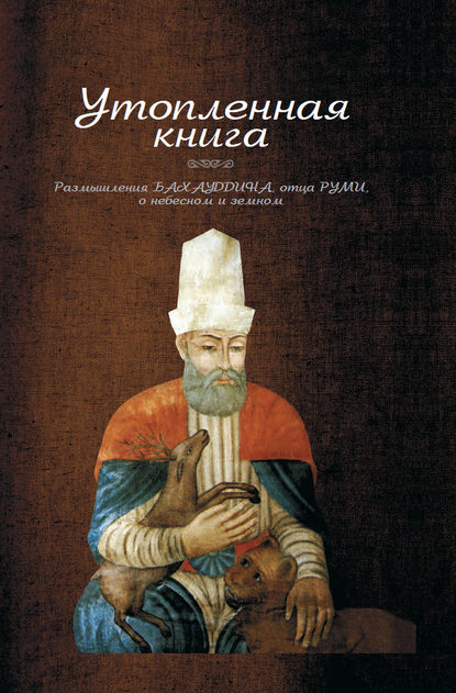 Утопленная книга. Размышления Бахауддина, отца Руми, о небесном и земном — Валад Бахаутдин