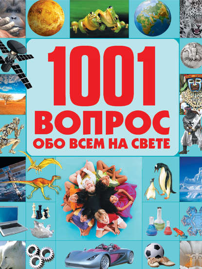 1001 вопрос обо всем на свете — Т. Л. Шереметьева