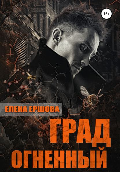 Град огненный — Елена Ершова