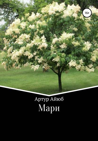 Мари — Артур Ильдусович Айюб