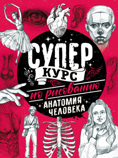 Суперкурс по рисованию. Анатомия человека — Мистер Грей