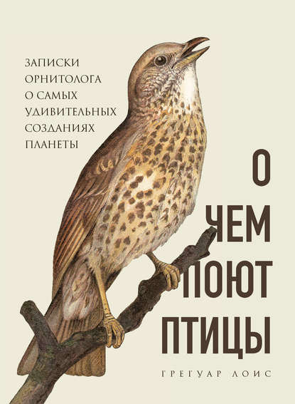 О чем поют птицы. Записки орнитолога о самых удивительных созданиях планеты — Грегуар Лоис