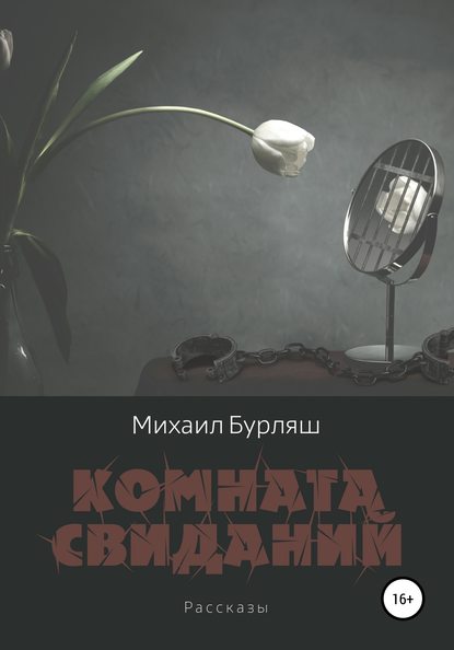 Комната свиданий. Сборник рассказов — Михаил Бурляш