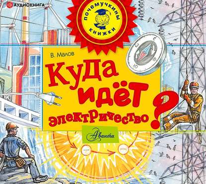 Куда идёт электричество? - Владимир Малов