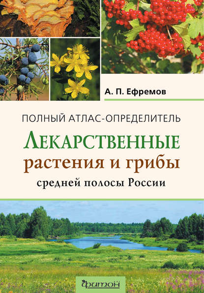 Лекарственные растения и грибы средней полосы России — А. П. Ефремов