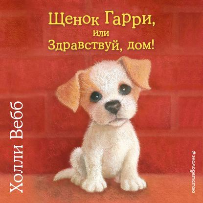 Щенок Гарри, или Здравствуй, дом! - Холли Вебб