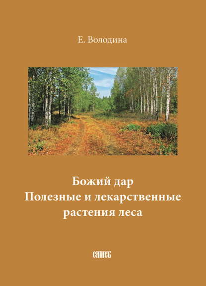 Божий дар. Полезные и лекарственные растения леса - Е. М. Володина