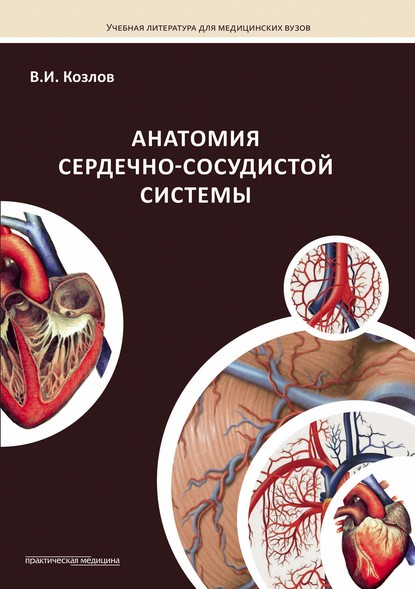 Анатомия сердечно-сосудистой системы - В. И. Козлов