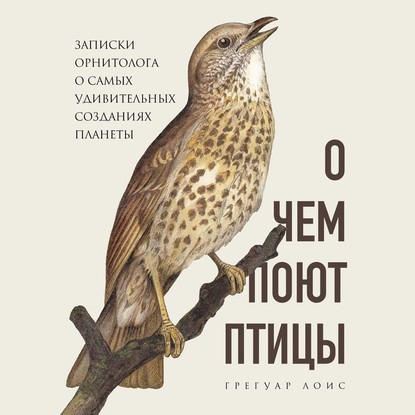 О чем поют птицы. Записки орнитолога о самых удивительных созданиях планеты - Грегуар Лоис