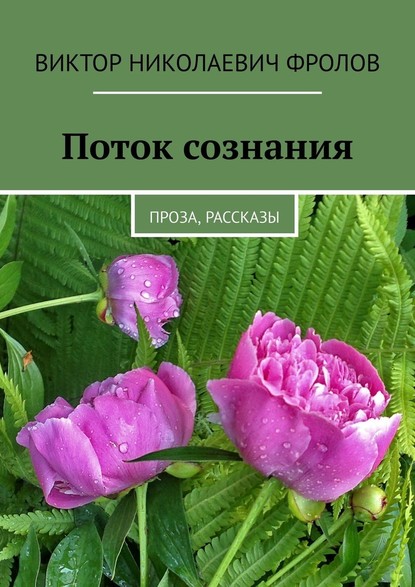 Поток сознания. Проза, рассказы — Виктор Николаевич Фролов