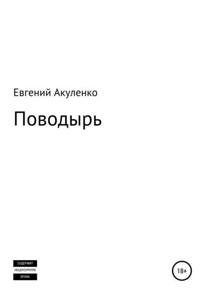 Поводырь - Евгений Акуленко