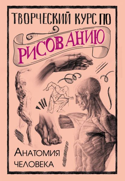 Творческий курс по рисованию. Анатомия человека - Мистер Грей