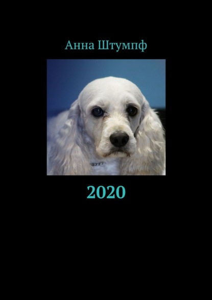 2020 — Анна Штумпф