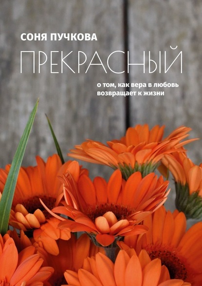 Прекрасный. О том, как вера в любовь возвращает к жизни — Соня Пучкова