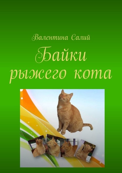 Байки рыжего кота. Стихи - Валентина Михайловна Салий