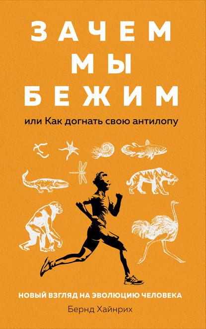 Зачем мы бежим, или Как догнать свою антилопу. Новый взгляд на эволюцию человека - Бернд Хайнрих