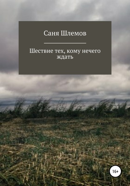 Шествие тех, кому нечего ждать… - Саня Шлемов