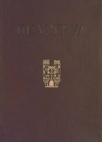 А. Е. Белогруд — В. В. Степанов