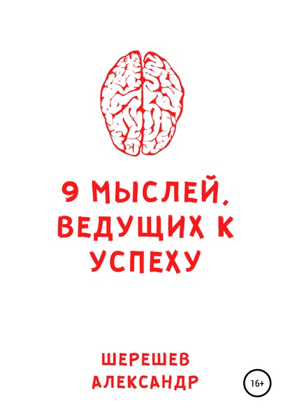 9 мыслей, ведущих к успеху — Александр Александрович Шерешев