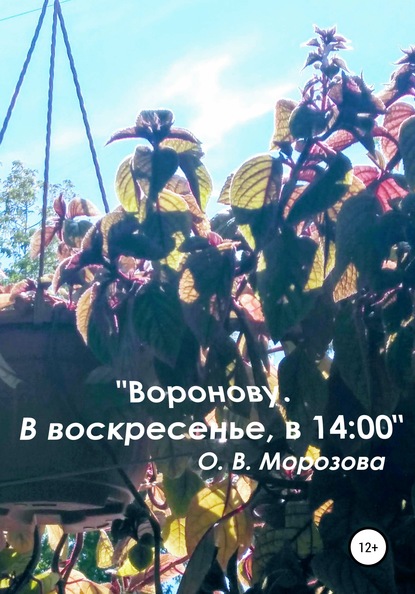 «Воронову. В воскресенье, в 14:00» - Ольга Владимировна Морозова