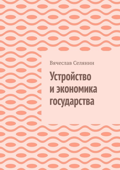 Устройство и экономика государства — Вячеслав Селянин