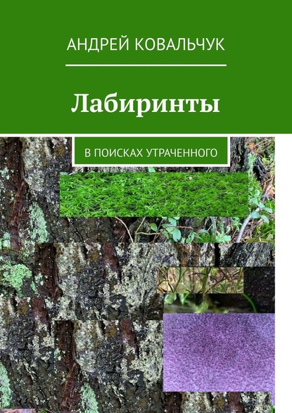 Лабиринты. В поисках утраченного - Андрей Ковальчук