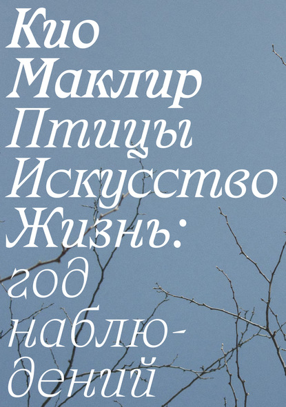 Птицы, искусство, жизнь: год наблюдений — Кио Маклир