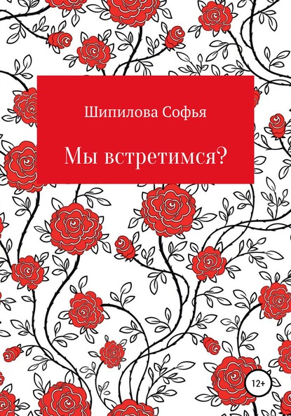 Мы встретимся? — Софья Юрьевна Шипилова