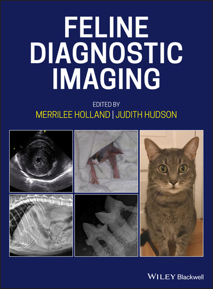 Feline Diagnostic Imaging - Группа авторов