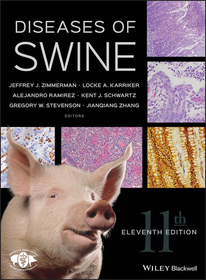 Diseases of Swine - Группа авторов