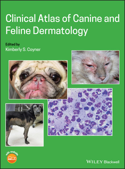 Clinical Atlas of Canine and Feline Dermatology - Группа авторов