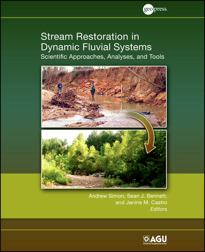 Stream Restoration in Dynamic Fluvial Systems - Группа авторов