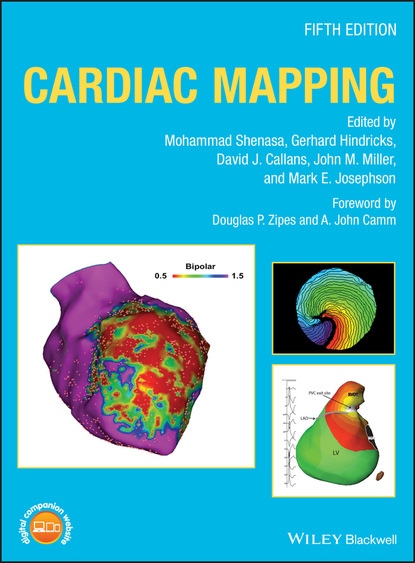 Cardiac Mapping - Группа авторов