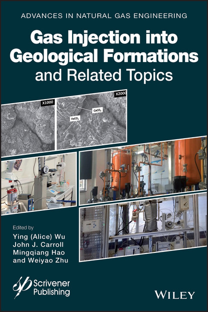 Gas Injection into Geological Formations and Related Topics - Группа авторов