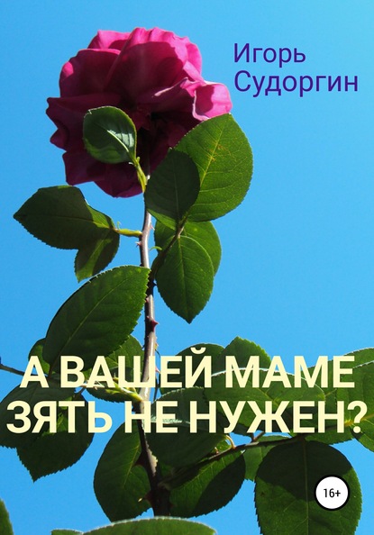 А вашей маме зять не нужен? - Игорь Вячеславович Судоргин