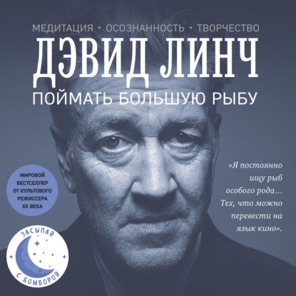 Поймать большую рыбу. Медитация, осознанность, творчество - Дэвид Линч