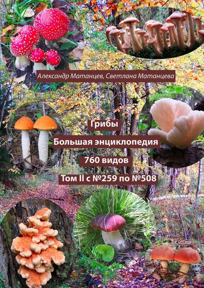 Грибы. Большая энциклопедия. 760 видов. Том II с №259 по №508 - Александр Матанцев