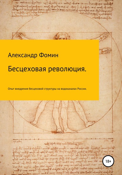 Бесцеховая революция. Опыт внедрения бесцеховой структуры управления на водоканалах России. — Александр Николаевич Фомин